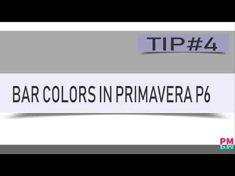 Primavera P6 Bar Color by Activity Codes