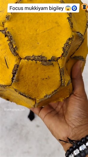 ​🇧​​🇱​​🇦​​🇨​​🇰​​🇾​​🇵​​🇦​​🇵​​🇦 on Instagram: "அச்சோ🧿வெறித்தனம்! 🔥 . . . #TamilReels #Bigil #Labrador #DogReels #Verithanam"