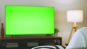 clip-1069391230-tv-green-screen-living-room-tree-lamps