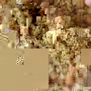 597K views · 1.5K reactions | A 12 minute, NO COOK COUSCOUS SALAD with sun dried tomato, feta, rocket, herbs and added chickpeas. It couldn't get any easier!! Get the recipe link in the comments! | RecipeTin | Facebook