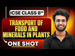 Transport of Food and Minerals in Plants | ICSE Class 8 Science | One Shot By Dev Sir