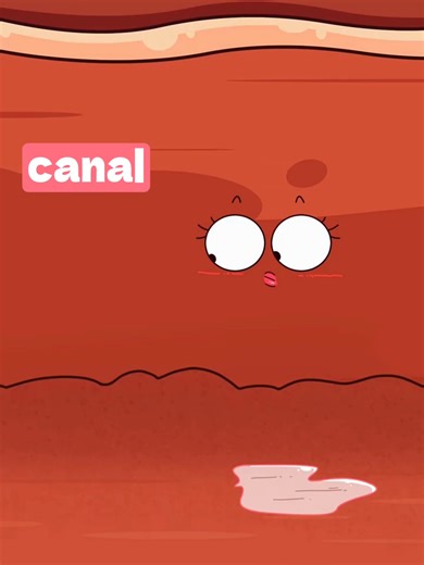 Rose, rouge vif ou brun foncé... pourquoi le sang de tes règles change-t-il d'aspect au fil des jours ? Découvre l'explication (avec un peu d'humour) pour mieux comprendre ton cycle ! #SanteFeminine #Regles #CycleMenstruel #CorpsHumain Cette vidéo t'explique avec humour pourquoi ton corps produit une barrière protectrice naturelle (le smegma/sécrétions) et comment adopter la bonne routine d'hygiène sans irriter ta peau. Moins, c'est parfois mieux ! ✨ #SanteFeminine #ConseilsSante #EducationSante