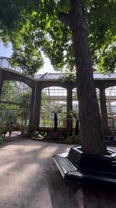 🌼 Located just east of the city centre, you'll find the Hortus Botanicus, - Amsterdam's lush cultural garden. 🌳 The gardens offers a tranquil haven from the hustle and bustle of the city and contains over 6,000 different indigenous and non-native trees and plants. 🦋 In addition to a gorgeous cafe, outdoor gardens, and a ‘hothouse’ that emulates three different tropical environments, hundreds of majestic butterflies can be found frolicking inside the Botanicus’ Butterfly Greenhouse. 🙋‍♀️ With