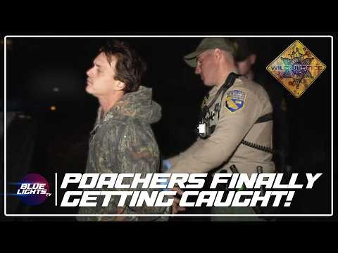 DELIRIOUS Poachers FINALLY Getting Caught! | Wild Justice Season 3