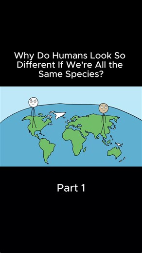 Why Do Humans Look So Different If We're All the Same Species? #ancienthumans #humanevolution #science Why Do Humans Look So Different If We're All the Same Species? #ancienthumans #humanevolution