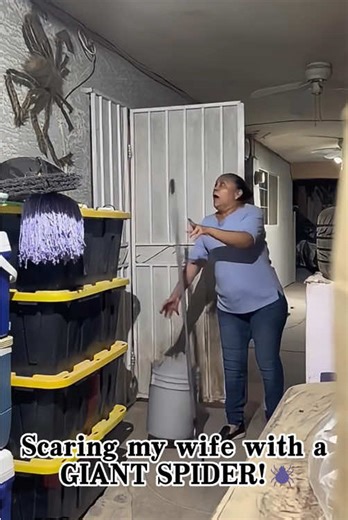Funny giant spider pranks 😱💀🤣#tiktok #foryoupage #scared #funny #funnyvideos