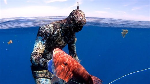Freediving for red snapper on day one