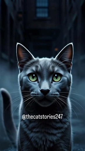 Do you know Cats hear things we can’t? #Shorts #HorrorShorts #CatHorror #AnimatedShort #Creepy