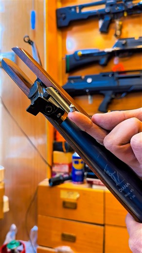 Diana | German Airgun cal .22 having 900 fps #german #airgun #diana #springerairgun