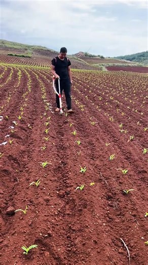 1.5M views · 8.5K reactions | Fertilizer dispenser  | FarmX | Facebook