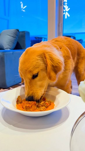 The Goodest Girls at Sea on Instagram: "A meal fit for a queen. "
