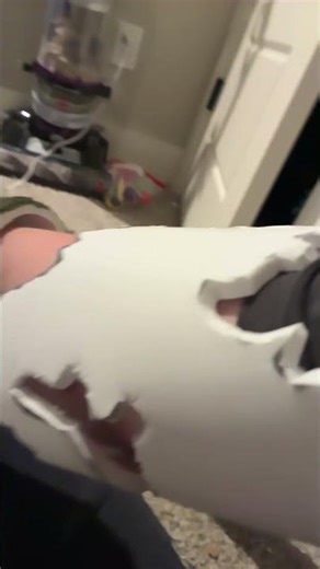 My spring trap costume so far