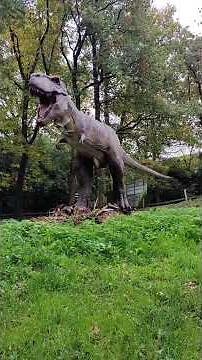 🦖 Jaws & Power Tyrannosaurus rex The King of Dinosaurs !