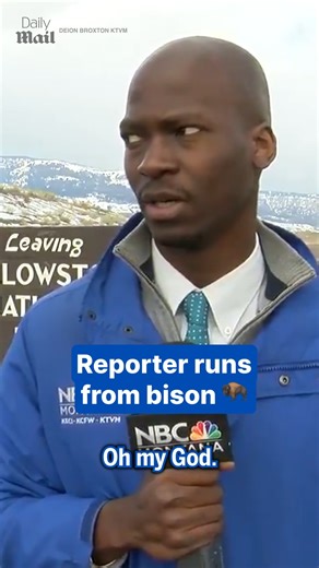 7.1K views · 24 reactions | Yeah, not today… 怜 | Daily Mail Video | Facebook