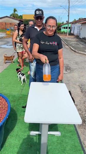 Gaming Insights and Creator Strategies