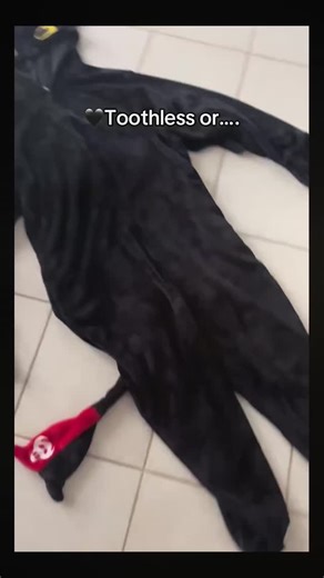 Toothless Plush Official on Instagram: "Which one are you? Both are linked in our bio🖤🤍 #matchingfits #tiktokmademebuyit #cozyaesthetic #viralfinds"