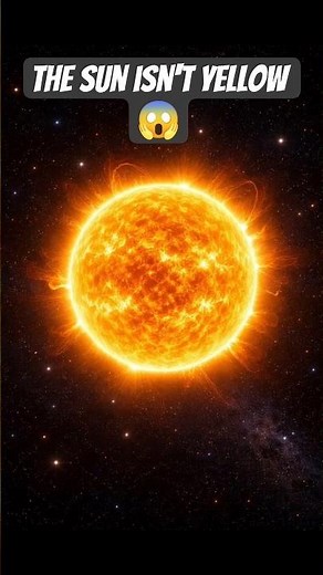 The Sun Isn't Yellow... You've Been Lied to by Your Eyes! ☀️🤯