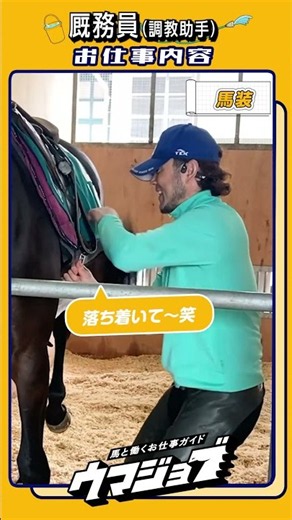 🐎厩務員（調教助手）さんのお仕事とは🔍 | JRA公式