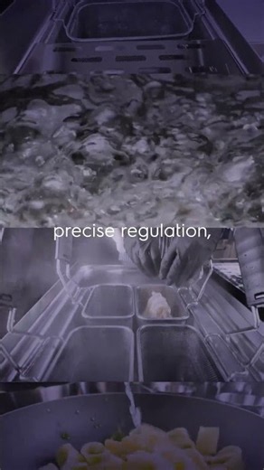 Electrolux Professional Auto-refill Pasta Cooker