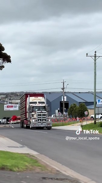 Sheep Carting Transport: Journey with T909 Trucks