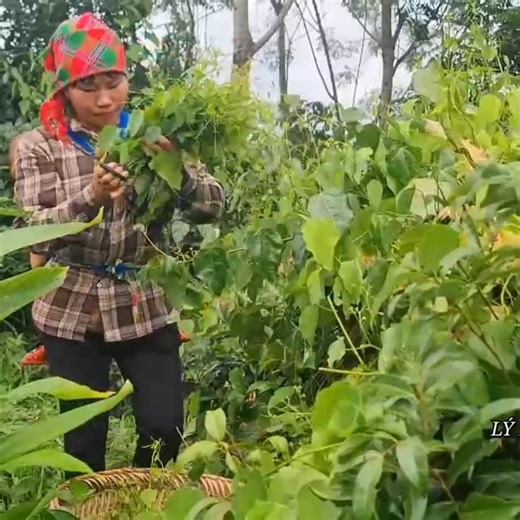 17 year old girl and child harvesting vegetables to sell at the market | Riley Logan
