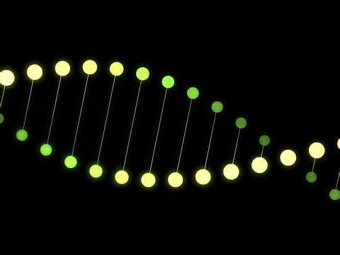 DNA Animation | Overlay