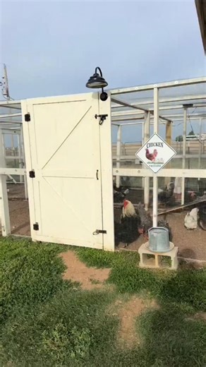 chic chiken | Another beautiful spring day… to break a broody hen. #broodyjail #broody #broodyhen #chickens | Instagram