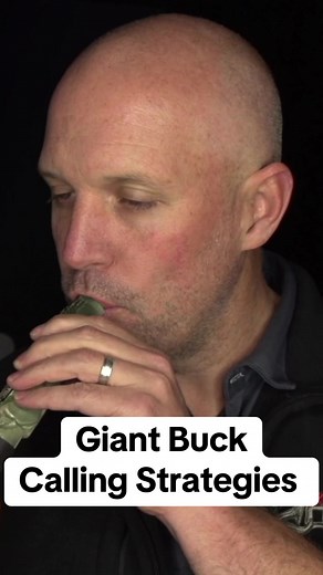 Calling at a Giant Midwest Buck #hunting #huntnextlevel #outdoors #deer #deerhunting #fyp