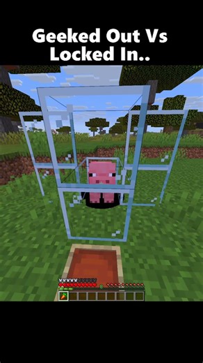 Geeked Out VS Locked In.. #minecraft