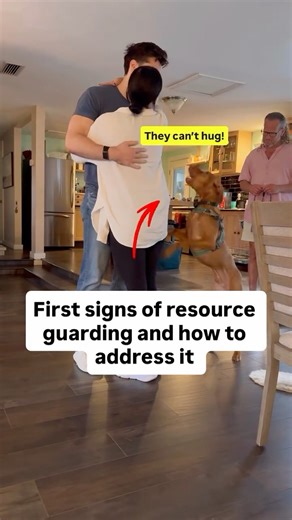 Jeff Gellman | Virtual & In Person Pet Dog Training on Instagram: "What starts as “cute” behavior can often lead to dangerous/unwanted behaviors. Ask us how we know? Because we see it over and over again with so many clients. “He would run over when we hugged. Then he started jumping. Then it turned to biting” We don’t speak about things we don’t personally deal with on the regular. So— if your dog is already displaying this type of behavior, here’s what you can do: 1. More structure in the home