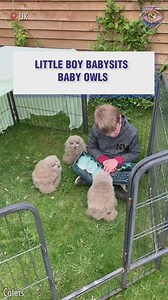 2.7M views · 173K reactions | He really looks like their big bro 殺 | Bright Side Fun | Facebook