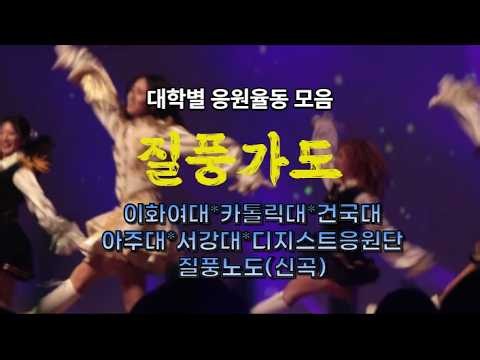 질풍가도응원율동모음#질풍가도#질풍노도#응원율동#응원단#대학축제