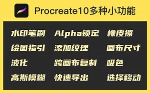 【procreate5.0教程】-零基础学插画/你可能不知道的procreate小功能合集
