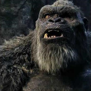 Godzilla x Kong: The New Empire (2024) |Epic MonsterVerse Battle | Short Video#edit