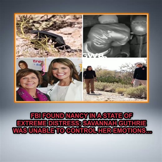 🚨 NANCY GUTHRIE CASE TAKES A DRAMATIC TURN: FBI UNCOVERS KEY DOORBELL CLUE – $100,000 REWARD OFFERED! The Federal Bureau of Investigation has revealed a major breakthrough in the disappearance of Nancy Guthrie: a black Ozark Trail backpack — sold exclusively at Walmart — was identified in doorbell footage showing a masked suspect approaching her home before dawn. More than 13,000 tips have poured in, and the reward has now been raised to $100,000. Her family is making an emotional plea for her 