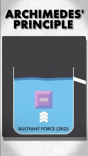 Archimedes Principle Explained in 60 seconds!