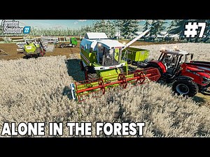 Building Silos & Harvesting Forest Wheat - Farming Simulator 22 Timelapse