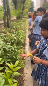 2K views · 39 reactions | Germination is the process by which a seed...