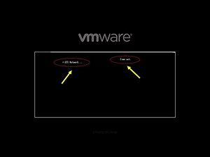 How to fix the VMware Workstation 'EFI Network Time out' issue