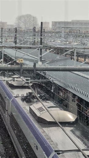 雪の降る松本駅 #train #雪 #snow