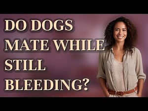 Do dogs mate while still bleeding?