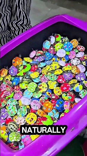 This Man Exposed How People Sell Fake Colorful Turtles for Big Money! #facts #shorts