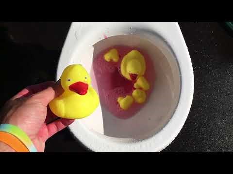 Will it Flush? - Yellow Rubber Ducks