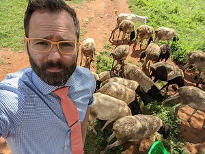 Model Migration as Adaptation: Experience with the MIDAS framework