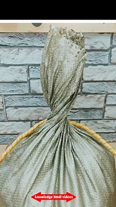 3.4M views · 10K reactions | गांठ की मज़बूती | Knowledge hindi videos | Facebook