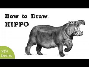 How to Draw a Hippo | Realistic, Step by Step