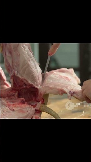 Traditional Pig Roast Cooking with Authentic Techniques