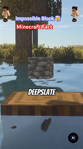 The Impossible Block Infested Deepslate #minecraft #shorts