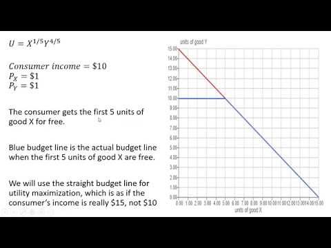 Utility Maximization with Kinked Budget Line
