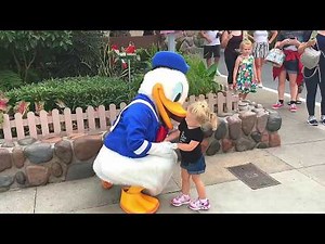 Donald Duck Disney World Hollywood Studios